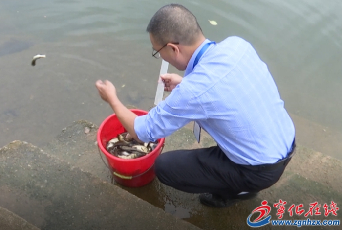 寧化：開展增殖放流活動(dòng) 保護(hù)生態(tài)環(huán)境