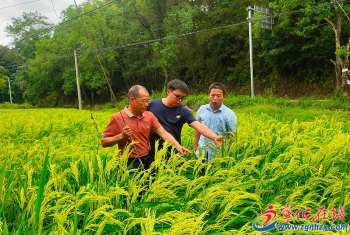 新農人的科技“興農夢”