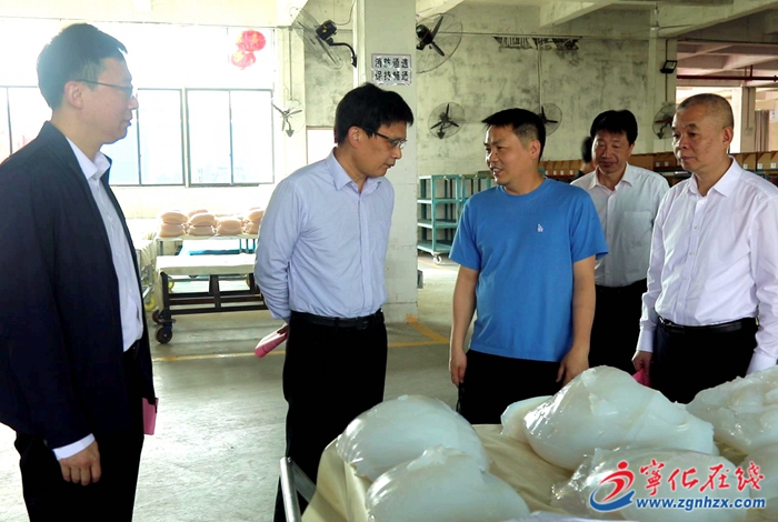 市領(lǐng)導(dǎo)來寧指導(dǎo)督促落實一季度“開門紅”“開門穩(wěn)”工作