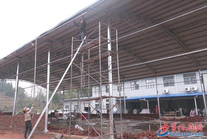 寧化中沙:盤活特色“茶產業” 做好振興“茶文章”