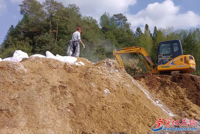 四領一促 | 竹蓀種植忙!寧化這個鄉鎮開啟助農新篇章