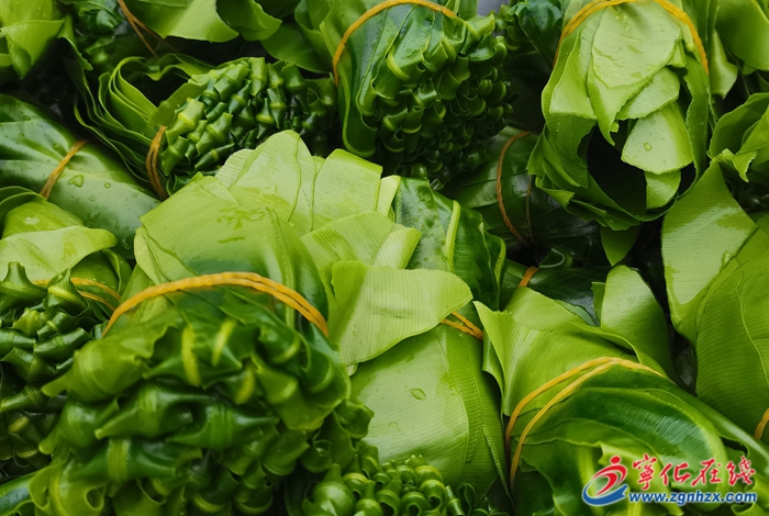 四領一促丨淮土鎮：多點開花致力產業領跑，黨建“引擎”賦能鄉村振興