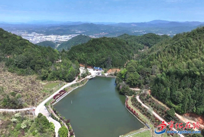 寧化縣城南鎮(zhèn):致富路上“藥”飄香