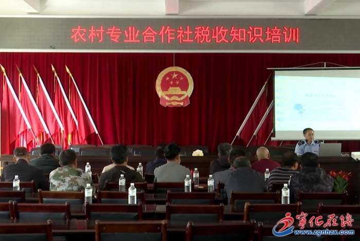 寧化：稅惠春風行 服務進萬家