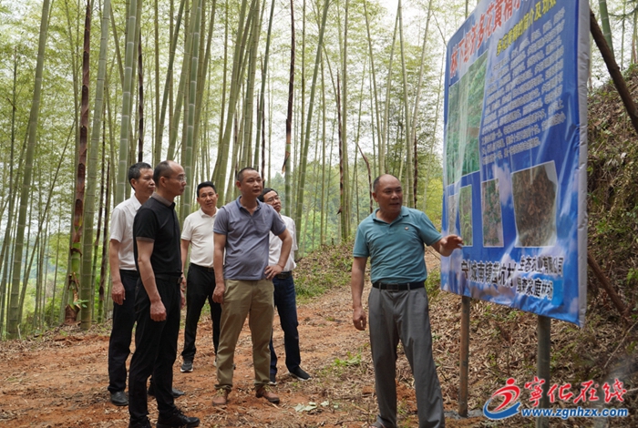 寧化縣召開縣級河長(林長)巡河巡林工作現場推進會議