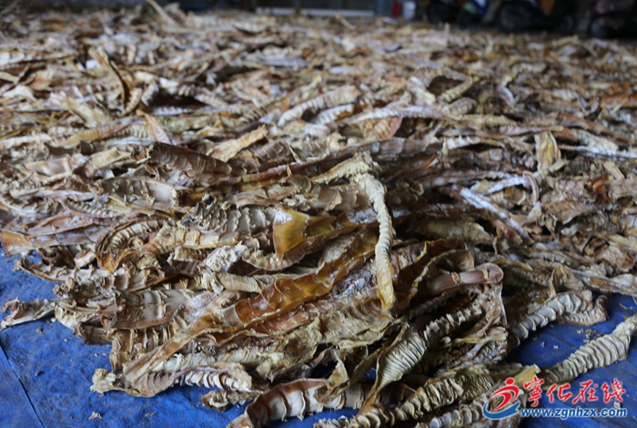 點(diǎn)竹成金,寧化這個(gè)鄉(xiāng)鎮(zhèn)用“一根竹子”撬動(dòng)“綠色經(jīng)濟(jì)”大產(chǎn)業(yè)