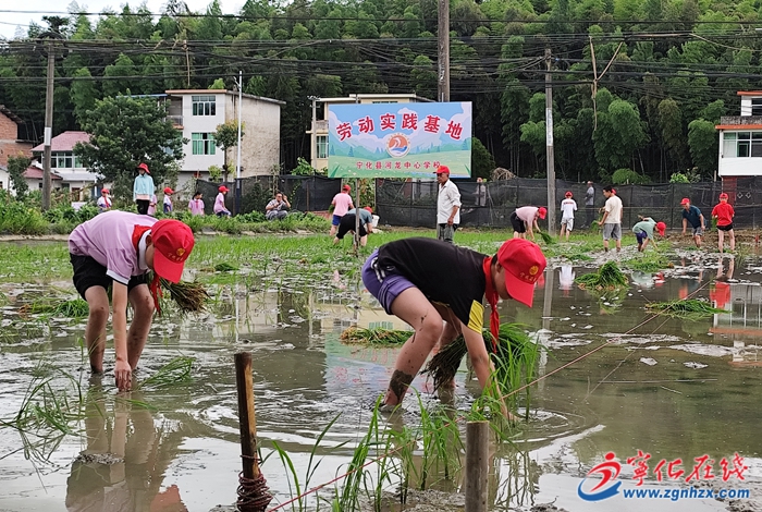 河龍中心學校：體驗貢米種植 收獲勞動樂趣