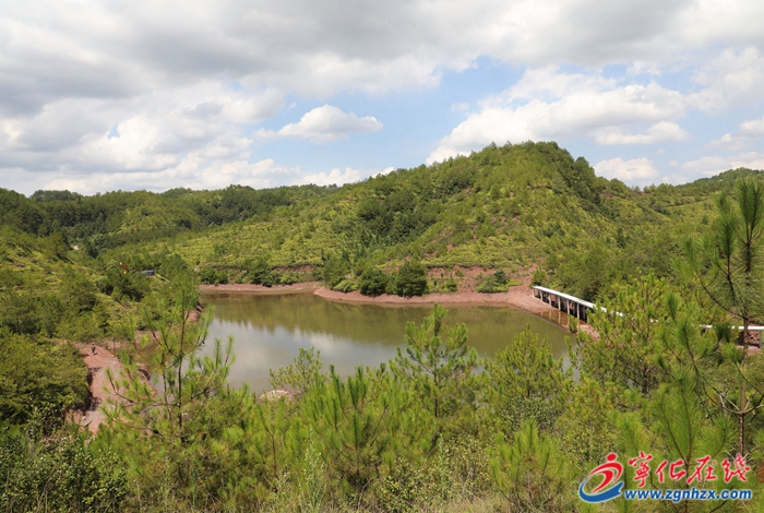 青山綠水是無價之寶 | 寧化:紅土地上披綠裝