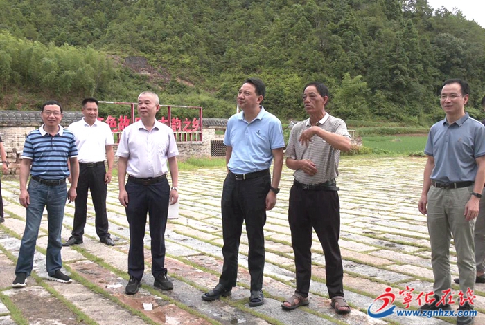 市領導來寧化開展工作調研