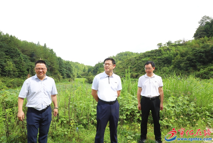 寧化縣領導開展生態環保、河湖長制工作調研