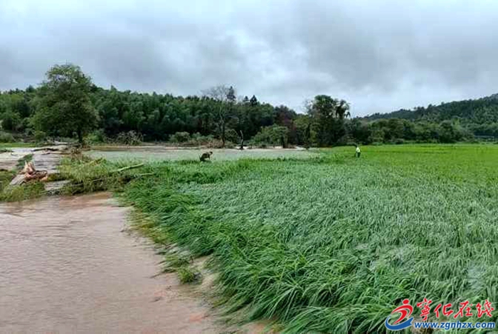 寧化安遠鎮遭遇強暴雨?救援緊急進行中
