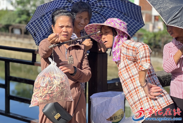 中沙鄉菌子飄香市場“熱”百菌出山富農家