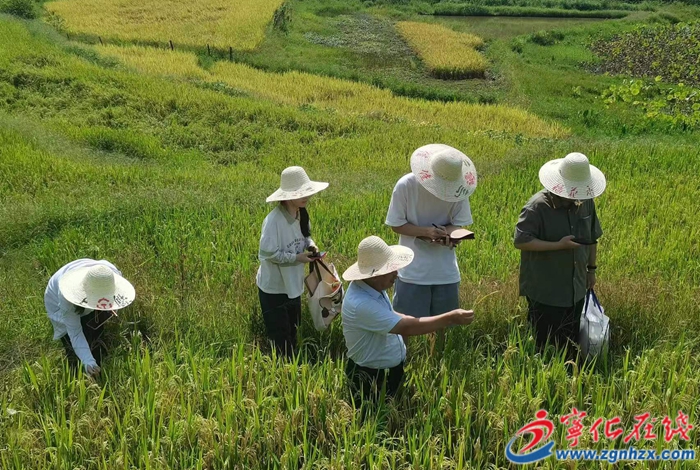 河龍鄉：聚人才力量，促產業振興