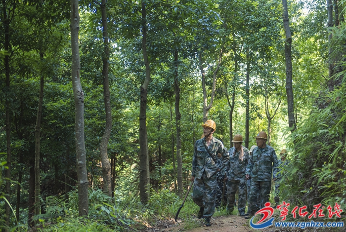 寧化:智慧林場邁新步