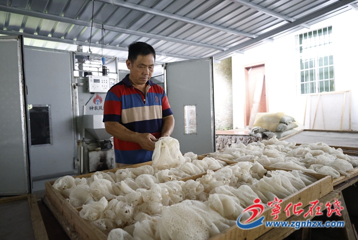 竹蓀破土推開群眾“致富門”