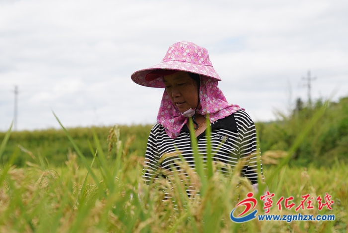 國慶我在崗：寧化勞動者用堅守繪就節日最美風景