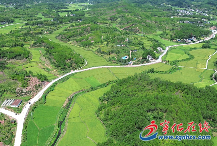 水茜鎮：路網建設“連民心” 暢通出行“惠民生”