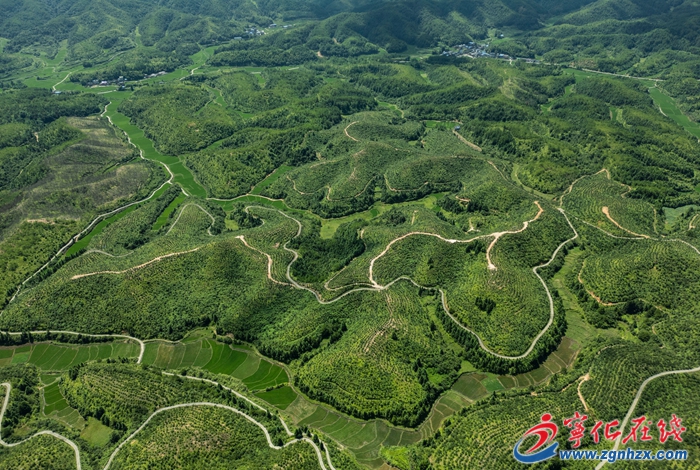 寧化：強化水土保持 發展富民產業