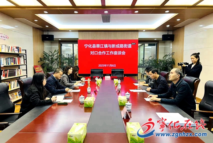 翠江鎮赴上海市嘉定區新成路街道開展對口合作交流活動