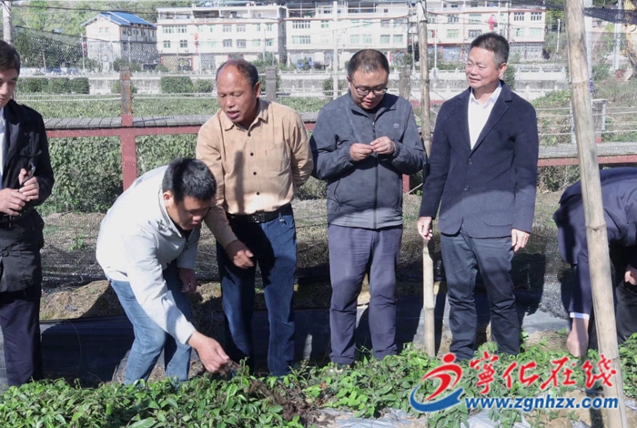 水茜鎮(zhèn)水茜村:“科技村落”通過驗收 科技賦能鄉(xiāng)村振興
