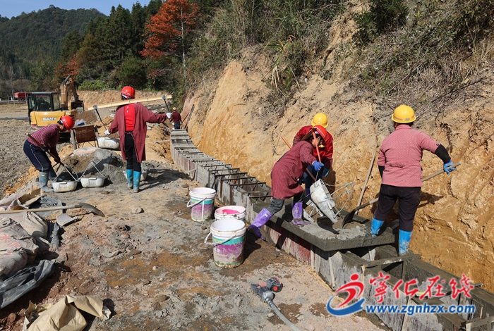 安遠鎮:高標準農田建設提速 夯實糧食安全根基