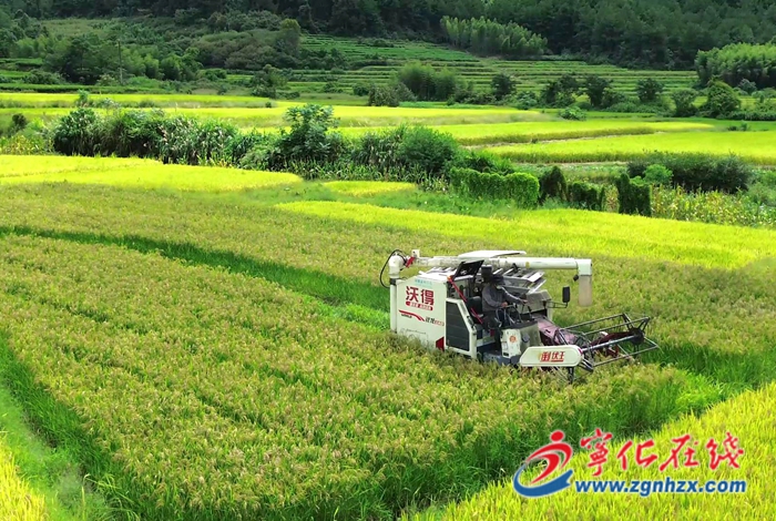 寧化：持續夯實糧食生產基礎