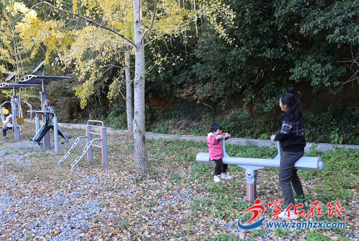 寧化：銀杏披“金”美如畫(huà)