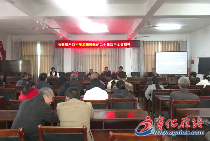 石壁鎮禾口村開展水稻生產及綠色防控技術培訓班