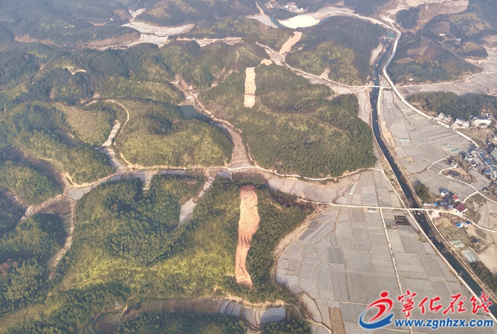 寧化:“林電共建”守護綠水青山