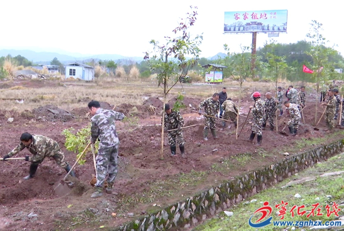 石壁鎮:開展植樹活動 共添一片新綠