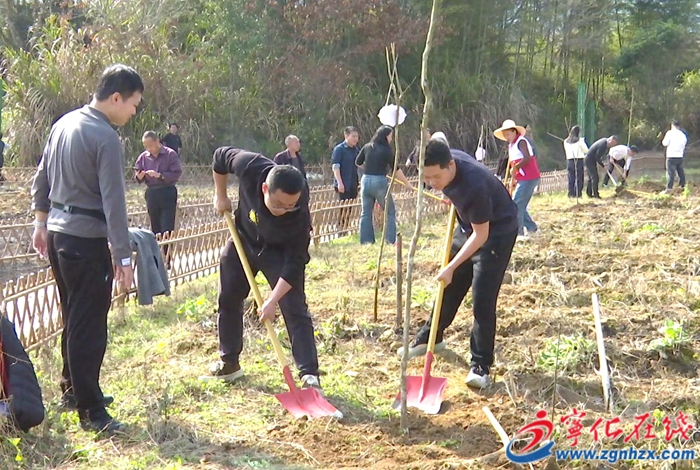 湖村鎮:開展“我在蛟湖有棵樹”主題植樹活動