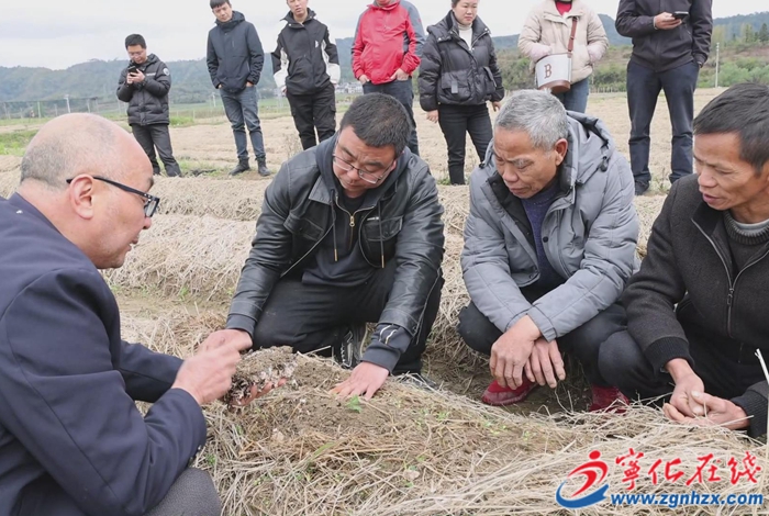 湖村鎮(zhèn)舉辦2025年度農村黨員春季培訓示范班