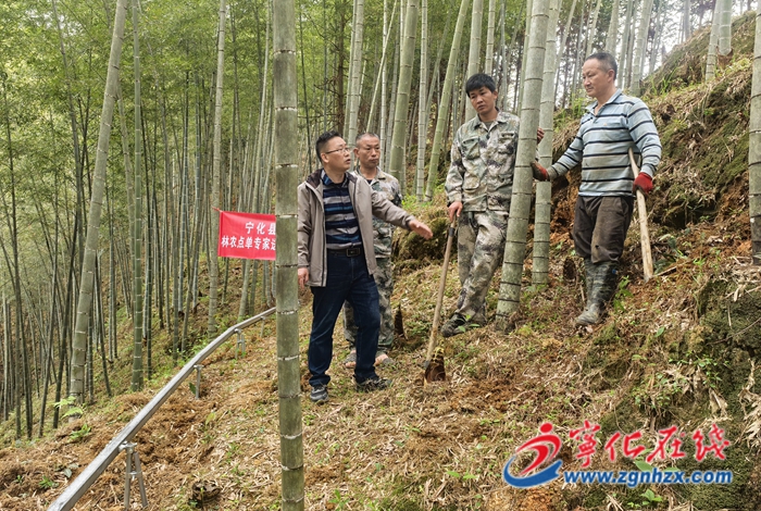 寧化：“林農點單”盡享生態福利