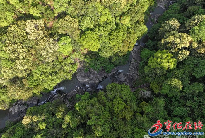 寧化：農文旅融合激活鄉村游，特色活動點燃假期經濟
