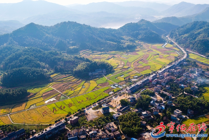 寧化：挖掘農(nóng)業(yè)潛力 確保糧食安全