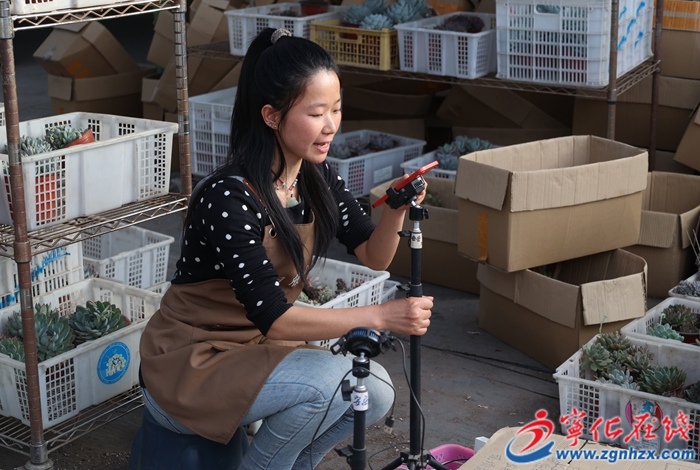 安樂鎮(zhèn)：一盆多肉，多彩生活