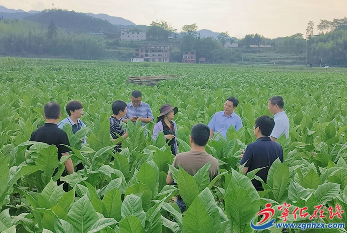 調(diào)研組深入田間 把脈土壤酸化治理