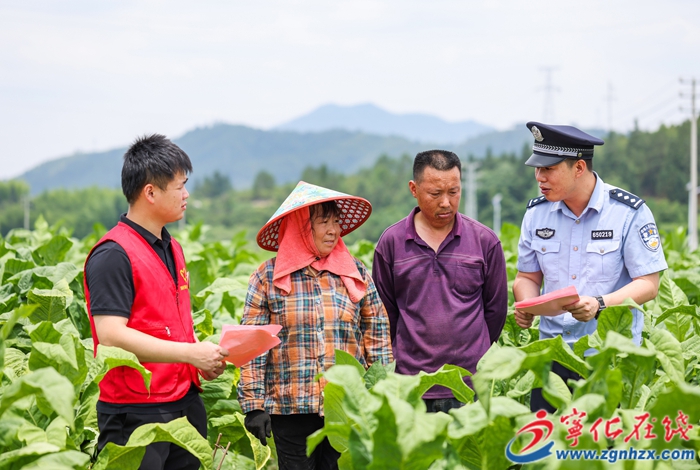湖村鎮：筑牢交通安全防線，守護群眾出行平安