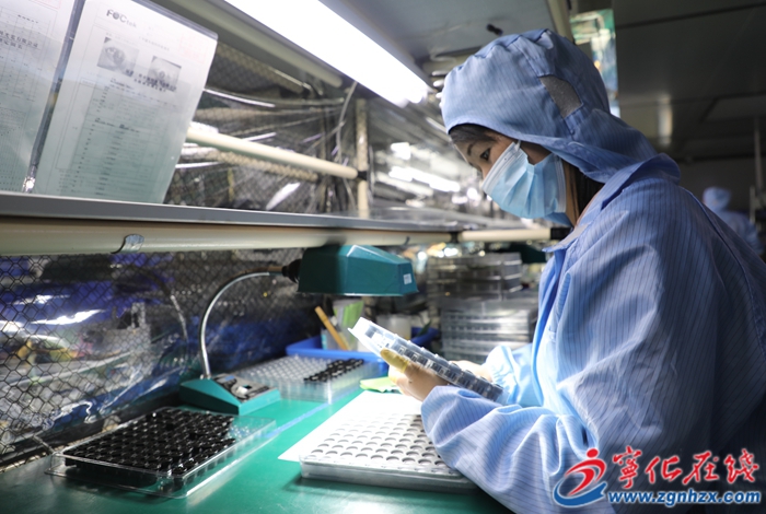 寧化：技改創新 光電產業優化升級