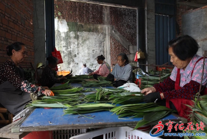 寧化安遠：粽葉化身“致富葉”