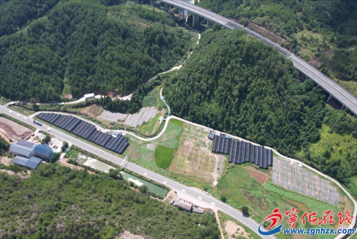 淮土鎮:加快推進閩臺農業融合發展示范園建設