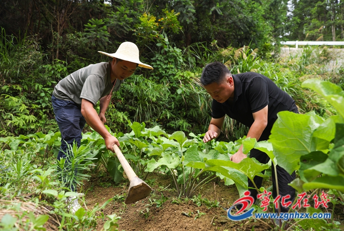 畬藥為媒“點亮”畬鄉文旅經濟