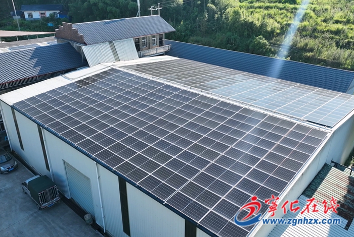 安樂鎮：書記領辦項目 光伏助力鄉村振興