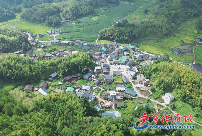 方田鄉(xiāng)：竹蓀產(chǎn)業(yè)“破土”生金