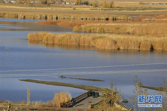 可可托海秋色醉人