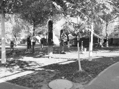 飯店為何開(kāi)進(jìn)減災(zāi)公園