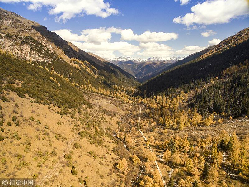 最適合自駕的線路，一條80里亞洲最美的彩林帶
