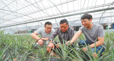 鄉(xiāng)村采摘游拓寬致富路