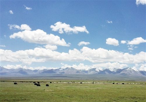 實(shí)現(xiàn)人與自然和諧共生 三江源頭打造國(guó)家公園典范