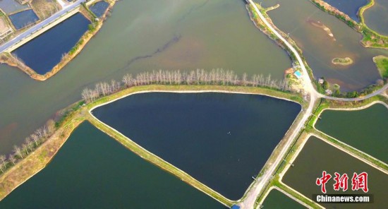 江西九龍山田園風(fēng)光如調(diào)色板